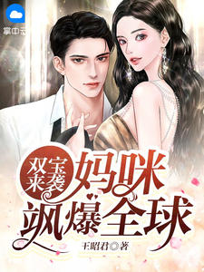 双宝来袭，妈咪飒爆全球在线阅读