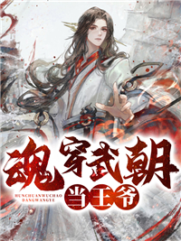 魂穿武朝当王爷在线阅读