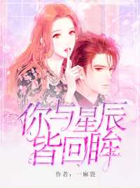 你与星辰皆回眸在线阅读