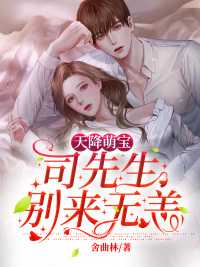 天降萌宝:司先生别来无恙在线阅读