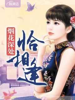 烟花深处情不眠在线阅读