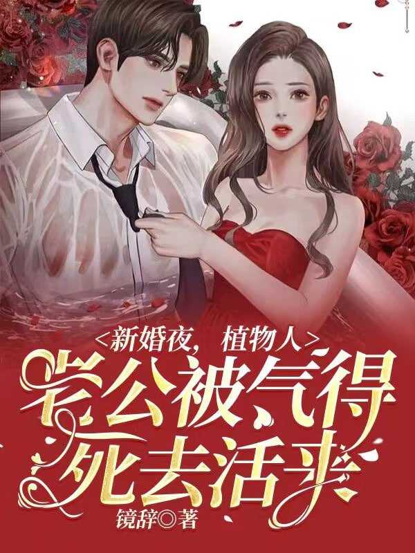 新婚夜，植物人老公被气得死去活来在线阅读