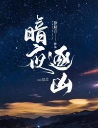 暗夜逐凶在线阅读