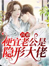 闪婚，便宜老公是隐形大佬在线阅读