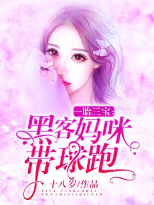 一胎三宝：黑客妈咪带球跑在线阅读