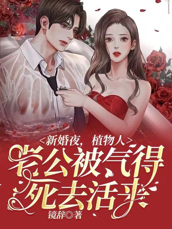 新婚夜，植物人老公被气得死去活来在线阅读