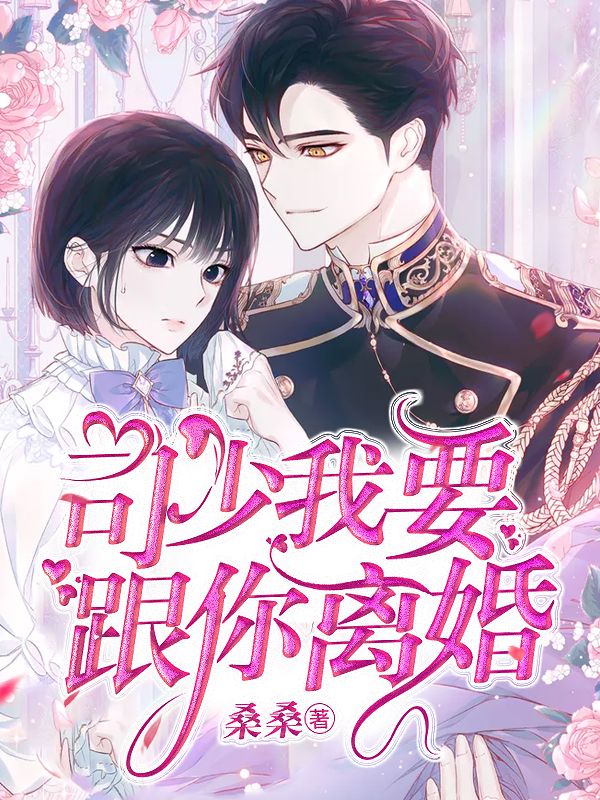 司少，我要跟你离婚在线阅读