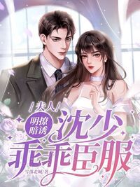 许如苑沈辞川在线阅读