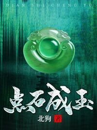 点石成玉在线阅读