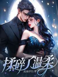 揉碎了温柔在线阅读