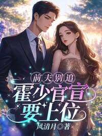 前夫别追，霍少官宣要上位在线阅读
