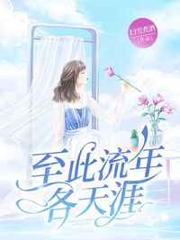 至此流年各天涯在线阅读