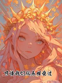 可惜我们从未相爱过在线阅读