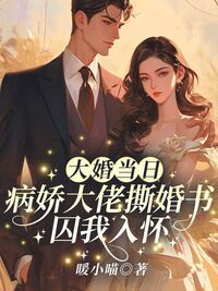 孟晚澄沈听澜在线阅读