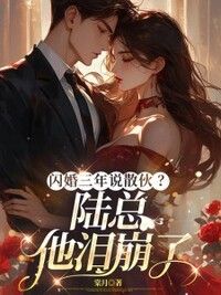 闪婚三年说散伙？陆总他泪崩了在线阅读
