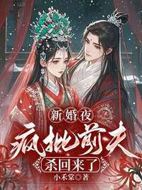 新婚夜，疯批前夫杀回来了在线阅读