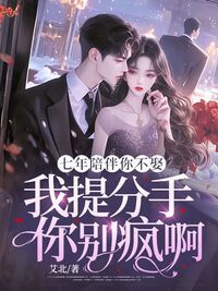 七年陪伴你不娶,我提分手你别疯啊在线阅读
