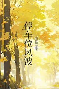 停车位风波在线阅读