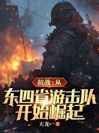 抗战：从东四省游击队开始崛起在线阅读
