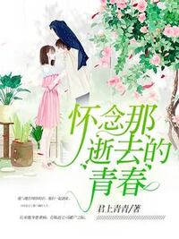 怀念那逝去的青春在线阅读