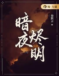 暗夜烬明在线阅读