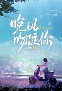晚风吻住你在线阅读