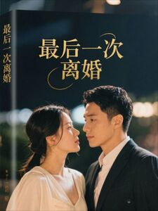最后一次离婚在线阅读