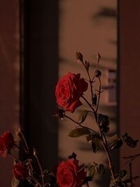 撞破奸情后，重生到妻子向我道歉这天在线阅读