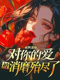对你的爱，被消磨殆尽了在线阅读