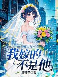 婚礼当天，我嫁的不是他在线阅读