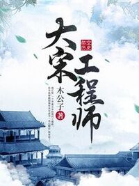 大宋工程师在线阅读