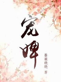 赵如意宋无忌在线阅读