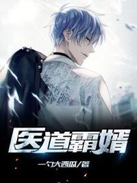 医道霸婿在线阅读