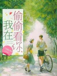 岑溪周濯在线阅读