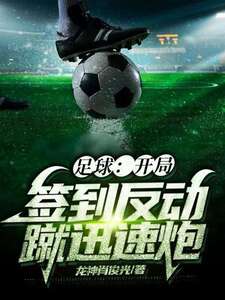 足球:开局签到反动蹴迅速炮在线阅读