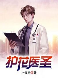 护花医圣在线阅读