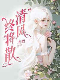 清风终将散在线阅读