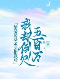 给婆婆基金会捐款后，我却倒欠五百万在线阅读