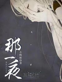 那一夜在线阅读