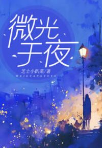 微光于夜在线阅读