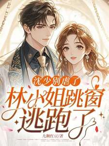 林晚苑沈墨川在线阅读