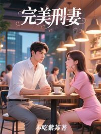 完美刑妻在线阅读