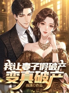 我让妻子假破产变真破产在线阅读