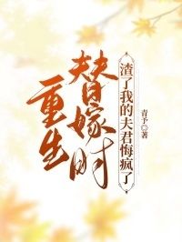 重生替嫁时，渣了我的夫君悔疯了在线阅读