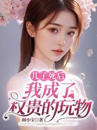 儿子死后，我成了权贵的玩物在线阅读
