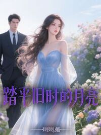 踏平旧时的月亮在线阅读