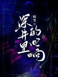 深井里的回响在线阅读