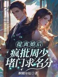 提离婚后，疯批周少堵门求名分在线阅读
