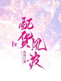 lv配货风波在线阅读