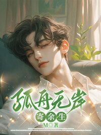 孤舟无岸寄余生在线阅读